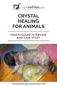 Crystal Healing For Animals Animal Wellness Guide Crystal Healing Healing Crystals