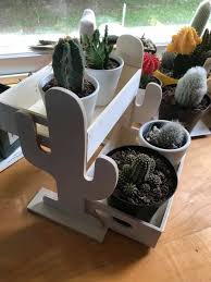 Kaitlyn Hocking (kaitlynhocking)