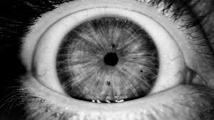 Image result for Pupil