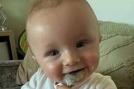 Dog so badly neglected her PAWS dropped off as owner Derek Goldsmith banned  from keeping animals