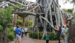 Jacksonville Zoo Named In Top 25 Best Zoos In Us Jacksonville Zoo Zoo Architecture Zoo