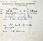 Image result for Haumaniastrum venosum