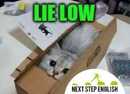 Word Of The Day Lie Low Advanced English Vocabulary English Idioms Lie Low
