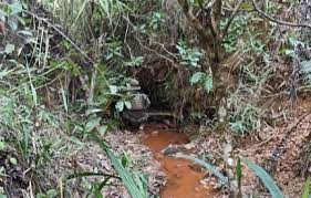 Foto sobre foto do adaptado especialmente em casa para proteger criaturas da floresta em seu 4 de agosto de 2017 tomado habitat. Cacador Indica Local Que Pode Ter Sido Usado Como Esconderijo Por Lazaro Aredacao