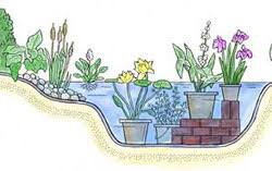 This fountain is overflowing and makes the most. How To Build A Water Garden Gardener S Supply