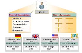 unit 1 lesson 1 assigning a chart of accounts and a chart of