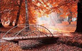 Imagini Desktop Peisaje De Toamna Poze Super Misto Autumn Photography Bridge Landscape Fall Pictures