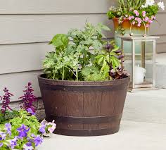 Check spelling or type a new query. Growing Vegetables In Containers Better Homes Gardens