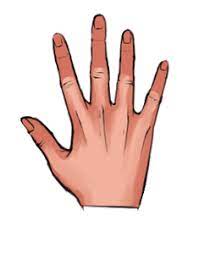 Explore our vast collection of coloring pages. Drawing And Coloring Hands 18 Steps Instructables