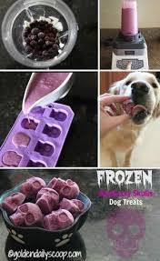 Healthy Homemade Halloween Dog Treats Recettes De Biscuits Pour Chien Friandises Pour Chiens Congeles Recettes Pour Chien