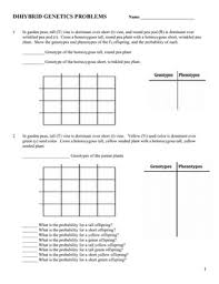 Punnett square are used to predict the possibility of different outcomes. Dihybrid Cross Worksheet Printable And Digital Distance Learning Genetics Practice Problems Genetics Lesson Biology Lessons