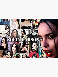 sofia carson Journal