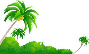 Coconut Tree Png Images Transparent Free Download Pngmart Com Coconut Tree Tree Png Images