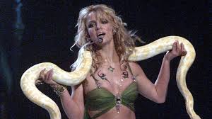 Image result for britney spears python