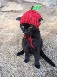 Apple Hat For Cat Apple Pet Costume Cat Outfit Feline Etsy In 2021 Pet Costumes Cat Pet Costumes Hat For Cat
