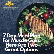 7 Day Meal Plan For Muscle Gain Here Are Two Great Options Tactical Elite Fitness Fitness For The Elite S