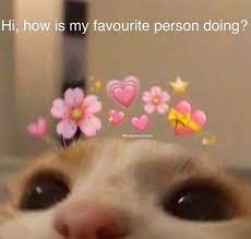 240 Meme Pics Ideas Cartoon Memes Mood Pics Reaction Pictures