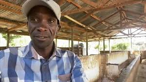 Eliud kipchoge runs a marathon in less than 2 hours. Olympic Superstar Eliud Kipchoge Visits His Farm On His Own As He Trains In Isolation Bbc Sport