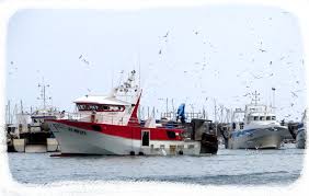 Sete Chalutier Bateaux Sete Ville Barque