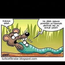 T.C. ismail TNC (@ismailTnccc)