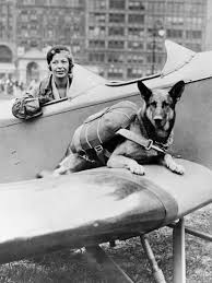 I am looking for an airline with pet cargo service. Flying With A Dog Everything You Need To Know Conde Nast Traveler