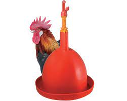 Abreuvoir contenance 3 litres pour poussins, poules, cailles, petites volailles abreuvoir en plastique de qualité. Abreuvoir Automatique Pour Poule Volailles La Ferme De Beau