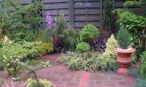 Small Courtyard Garden Pictures Bbc Gardening Flower Shows Conifer Courtyard Conifers Garden Small Courtyard Gardens Colorful Garden