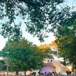 City of Aledo “Central Park Grooves”: Fair Warning