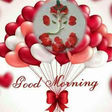 Good Morning Images Nikhil Ak 18 Sharechat À²­ À²°à²¤à²¦ À²¸ À²µ À²¤ À²¸ À²¶ À²¯à²² À²® À²¡ À²¯ You can make the morning of your loved ones a little happier by giving them a little attention and sending the good morning gif. good morning images nikhil ak 18