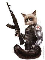 Prooved Grumpy Cat Is Bucky Barnes P The Winter Soldier Grumpy Soldier By Maxkenn Captain America Winter Soldier Bucky Barnes Winter Soldier Winter Soldier