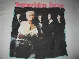 For Sale Transvisionvamp Vintage Tee Bandshirt Summer Festival Swag Blondepop Wendyjames 80s Theprimitives Transvision Vamp Vintage Tshirts Pop Art