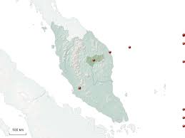 Peninsular malaysia is a mountainous, craggy region, and the eastern coast can receive well over 100 inches of rain a year. Stepmap West Malaysia 3 Landkarte Fur Asia