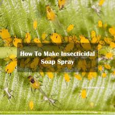 Check spelling or type a new query. 3 Easy Ways To Make Homemade Insecticidal Soap Spray