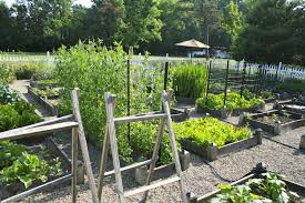 So you're planting a vegetable garden for the first time! Planning Ideas For Your Vegetable Garden A Healthy Life For Me