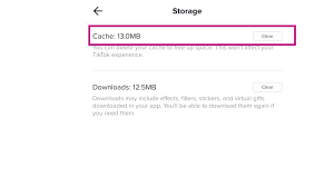 Tiktok Clear Cache Option Thecellguide