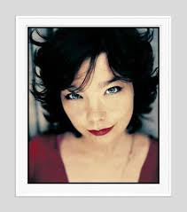 Framed Kevin Fleming Print