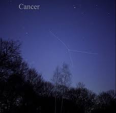 The constellation of cancer is a very unique constellation as it is the only constellation that represents two symbols at once. The Cancer Constellation Universe Today