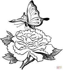 Painted Lady Butterfly Sits On A Flower Coloring Page Free Printable Coloring Pages Butterfly Coloring Page Flower Coloring Sheets Butterfly Art Painting
