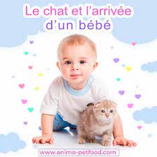 Interactions Et Cohabitation Entre Les Enfants Et Les Chats