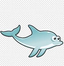 Spinner dolphin clipart lumba lumba dolphin clip art transparent cartoon free cliparts silhouettes netclipart. Lumba Lumba Hidung Botol Umum Gambar Kartun Ikan Kartun Di Laut Karakter Kartun Mamalia Laut Mamalia Png Pngwing