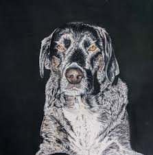 Bethany Endicott Gill