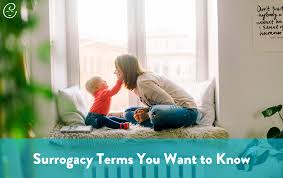 Find & download free graphic resources for surrogacy. Surrogacy Terms Decoded 17 Definitions To Know Circle Surrogacy
