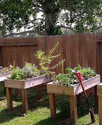 Maybe you would like to learn more about one of these? Diy Waist High Planter Box Diy Raised Garden Garden Planter Boxes Building A Raised Garden