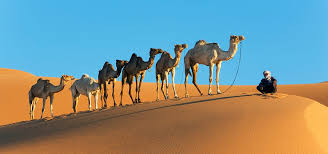 Also known as camel caps or more formally as medial capitals) is the practice of writing phrases without spaces or punctuation, indicating the separation of words with a single capitalized letter, and the first word starting with either case. The Aa Camel Story Aa History Alcoholics Anonymous Cleveland