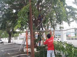Bangunan pejabat pos felda chini. Peran Buana Enterprise Pejabat Pos Besar Kuantan
