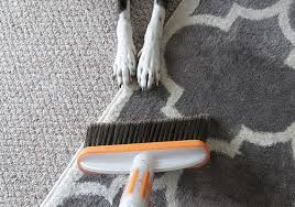 Our reviews of best brooms for pet hair. 3 Best Brooms For Sweeping Up Pet Hair 7 Tested On Dogs