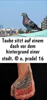 Taube Sitzt Auf Einem Dach Vor Dem Hintergrund Einer Stadt C E Pradel 16 Make Tattoo Kinder Art Art Tattoo