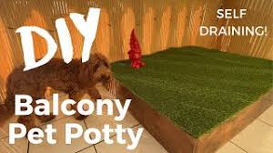 We did not find results for: Diy Balcony Dog Porch Potty Youtube