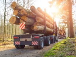 Penggunaannya juga cukup mudah, tinggal download dan install aplikasinya secara gratis di smartphone android kamu. Facilitating The Sustainable Use Of Common Resources Ar18