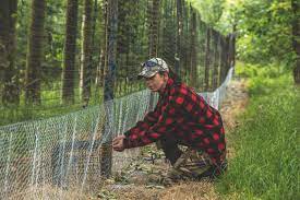 Perfect Pheasant Pen - How To Create It And Where To Site It